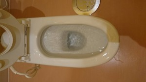 C51E7047-D6D9-46FC-8C56-F423098090AE