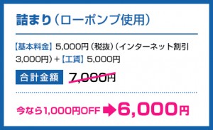 price_bnr009