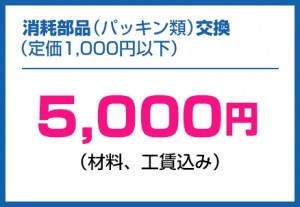 price_bnr_005