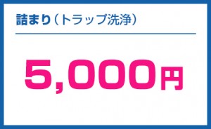 price_bnr_010